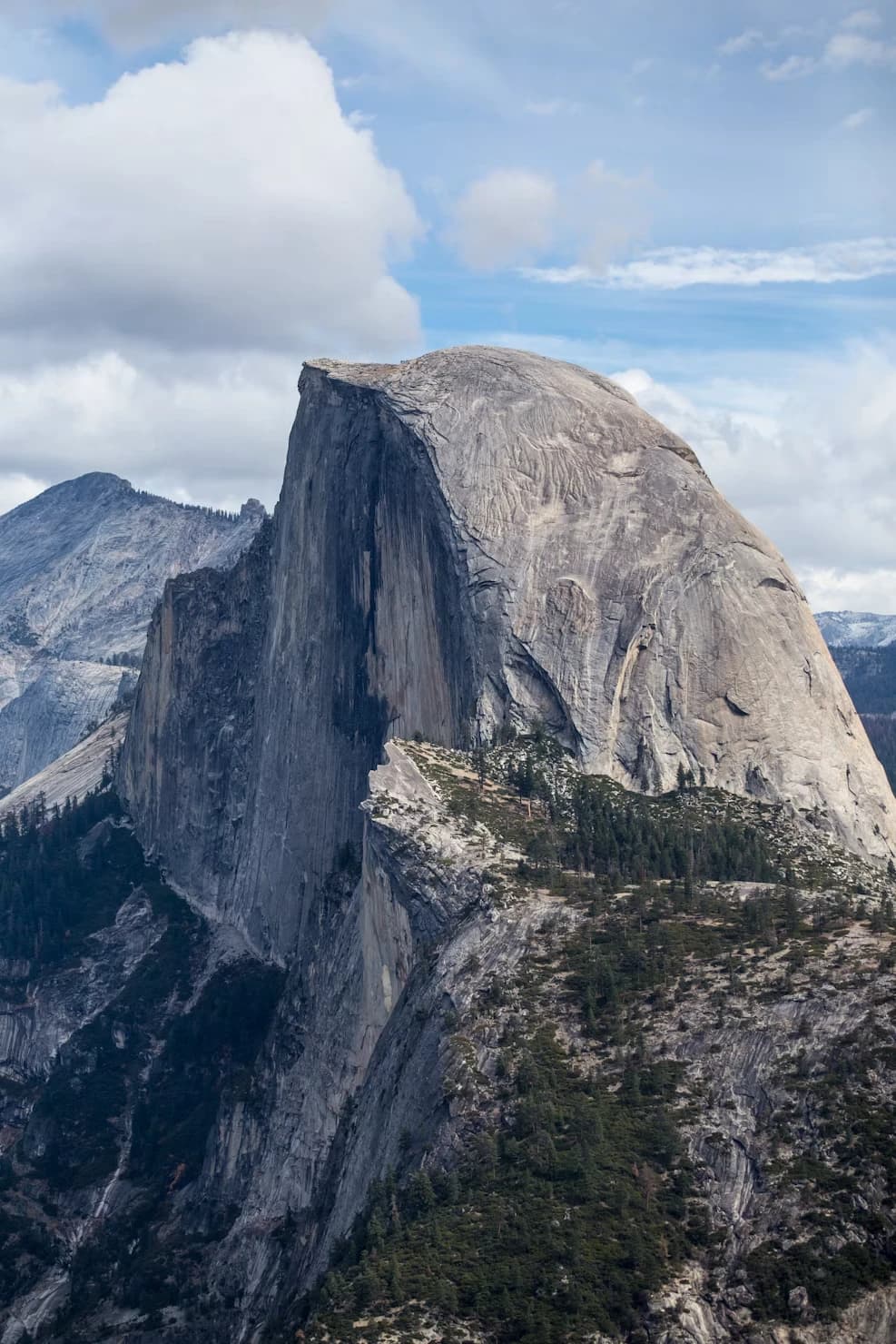The northwest face of Half Dome rising above Yosemite Valley, its granite shoulder falling away into forest